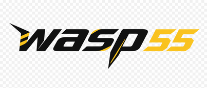 wasp 55